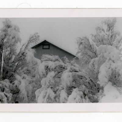 Print, Photographic