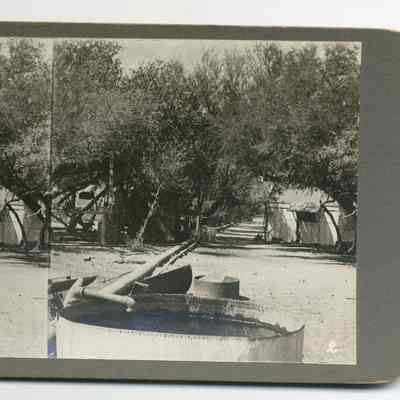 Stereograph