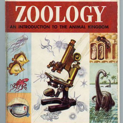 Zoology: An Introduction to the Animal Kingdom