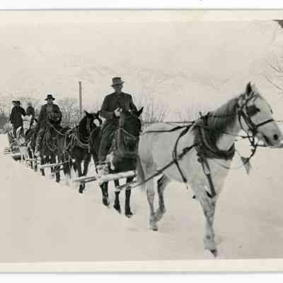 Postcard