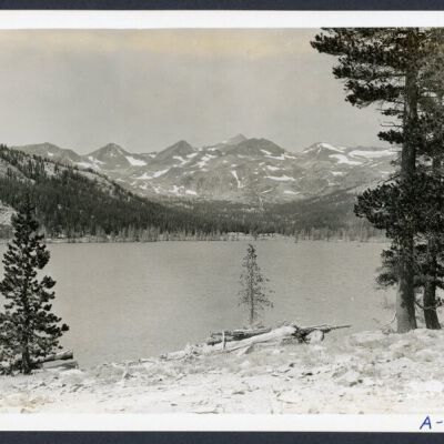 Print, Photographic