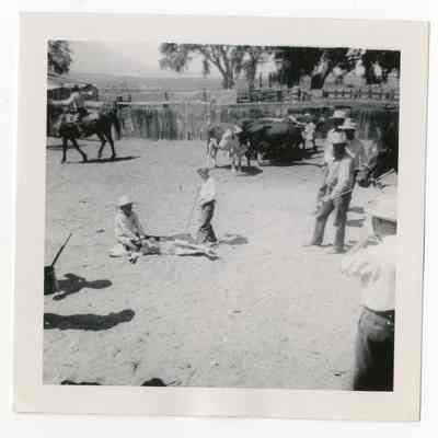 Print, Photographic