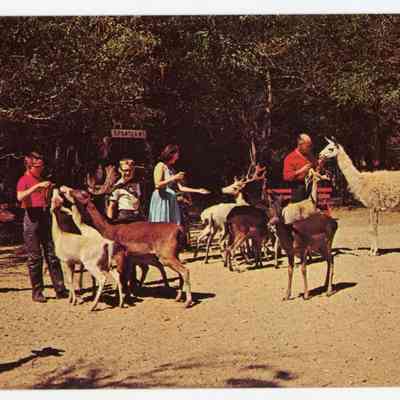 Postcard