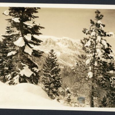 Print, Photographic