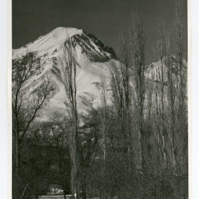 Print, Photographic
