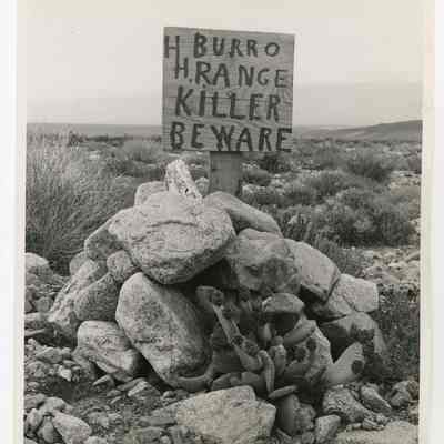 Print, Photographic