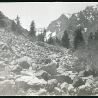 Print, Photographic