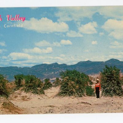 Print, Postcard