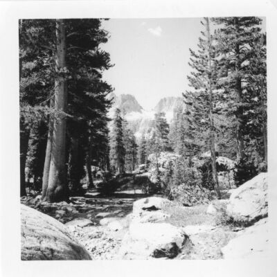 Print, Photographic