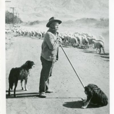 Print, Photographic