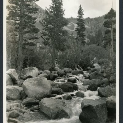 Print, Photographic