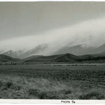 Print, Photographic