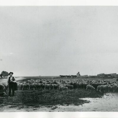 Print, Photographic