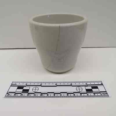 Cup