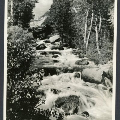 Print, Photographic