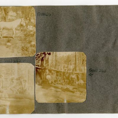 Print, Photographic