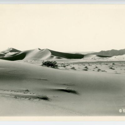 Print, Photographic