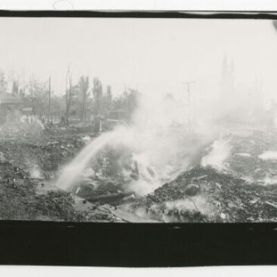 Print, Photographic