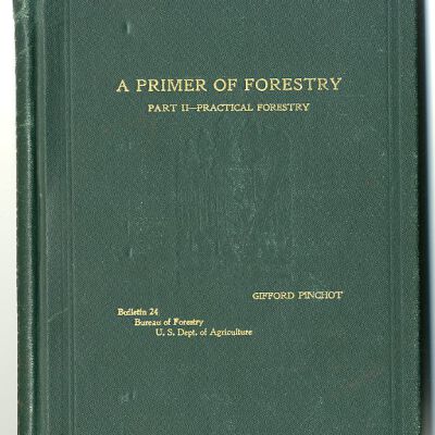 U.S. Department of Agriculture, Bureau of Forestry, Bulletin 24, Part II: A Primer of Forestry--Practical Forestry