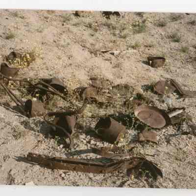 Print, Photographic