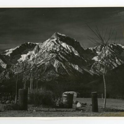 Print, Photographic