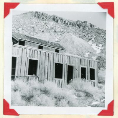 Print, Photographic