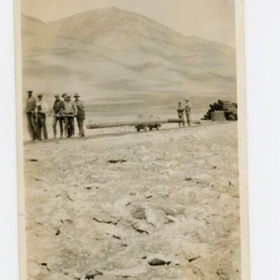 Print, Photographic