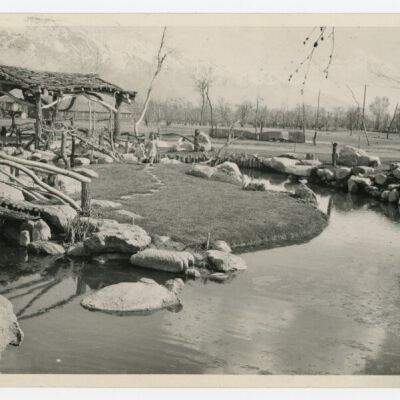 Print, Photographic