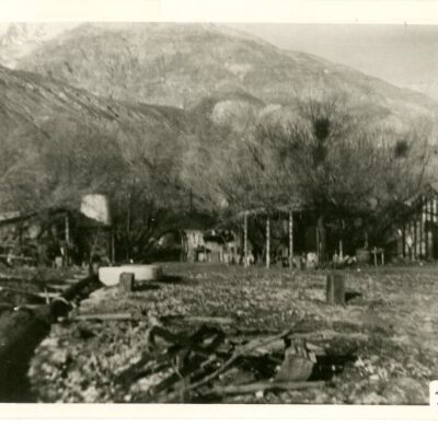 Print, Photographic