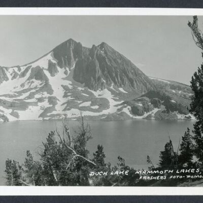 Print, Photographic