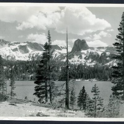 Print, Photographic