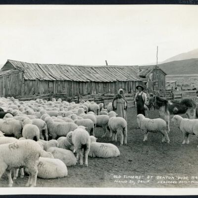 Print, Photographic