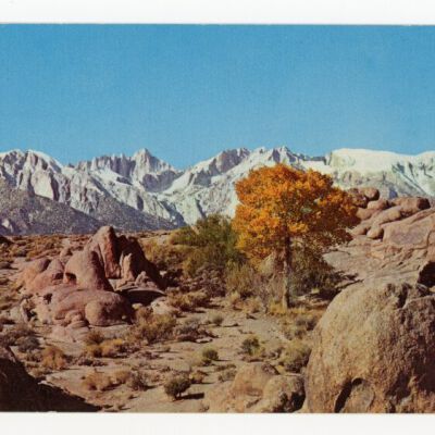 Postcard