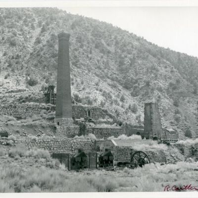 Print, Photographic