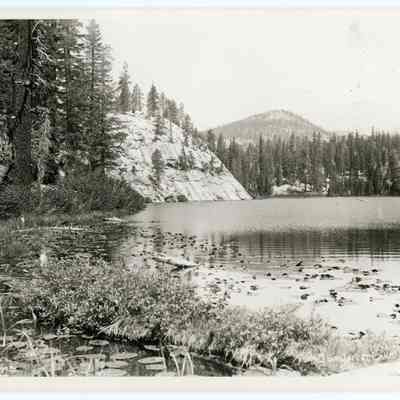 Pond Lilley [Lily] Lake