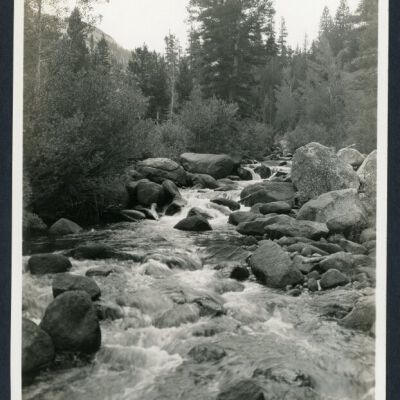 Print, Photographic