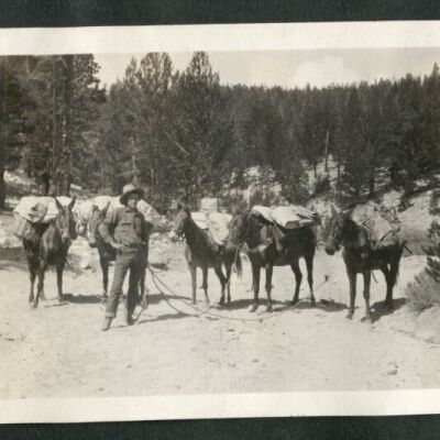 Print, Photographic