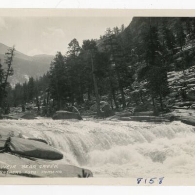 Print, Photographic