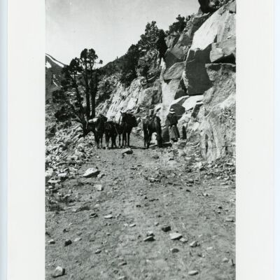 Tioga Grade