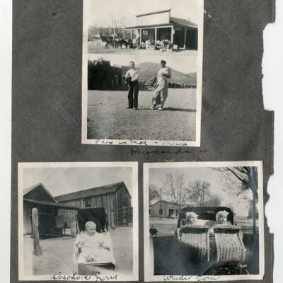 Print, Photographic