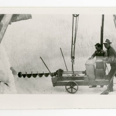 Print, Photographic