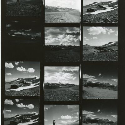 Print, Photographic