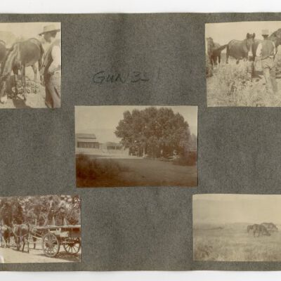 Print, Photographic