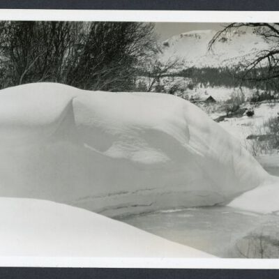 Print, Photographic