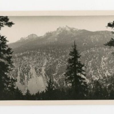 Print, Photographic