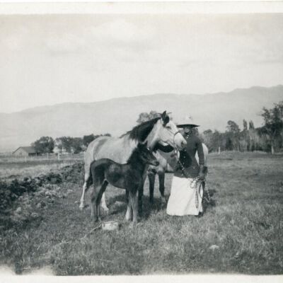 Print, Photographic
