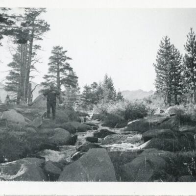 Print, Photographic