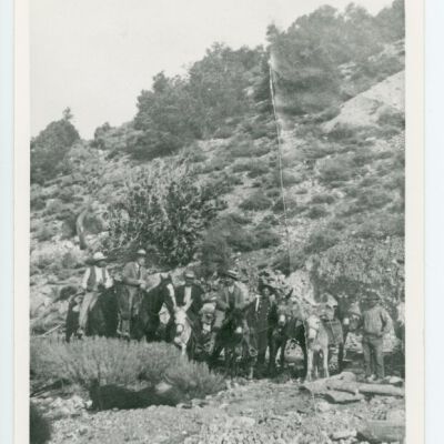Print, Photographic