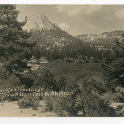 Card, Greeting