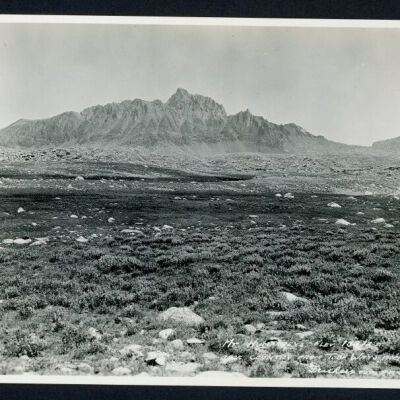 Print, Photographic